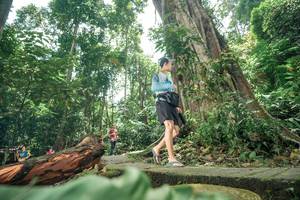 BIB: 
                            <button type="button" onclick="openModal(24810211)" class="btn btn-primary btn-sm float-right btn-popup" data-toggle="modal" data-target=".modal-high-quality">
                        <i class="fas fa-shopping-cart"></i> Add to Cart
                    </button>
                                            <button type="button" onclick="isThisMe(24810211, true)" class="btn btn-success btn-sm float-right btn-popup btn-isme hidden" data-toggle="tooltip" data-placement="bottom" title="นี่คือรูปของคุณใช่ไหม คลิกที่นี่เพื่อเอาเข้าอัลบั้ม">
                        <i class="fas fa-plus"></i> Add to album
                    </button>
                    <button type="button" onclick="isThisMe(24810211, false)" class="btn btn-warning btn-sm float-right btn-popup btn-isnotme hidden">
                        <i class="fas fa-ban"></i> Remove from album
                    </button>